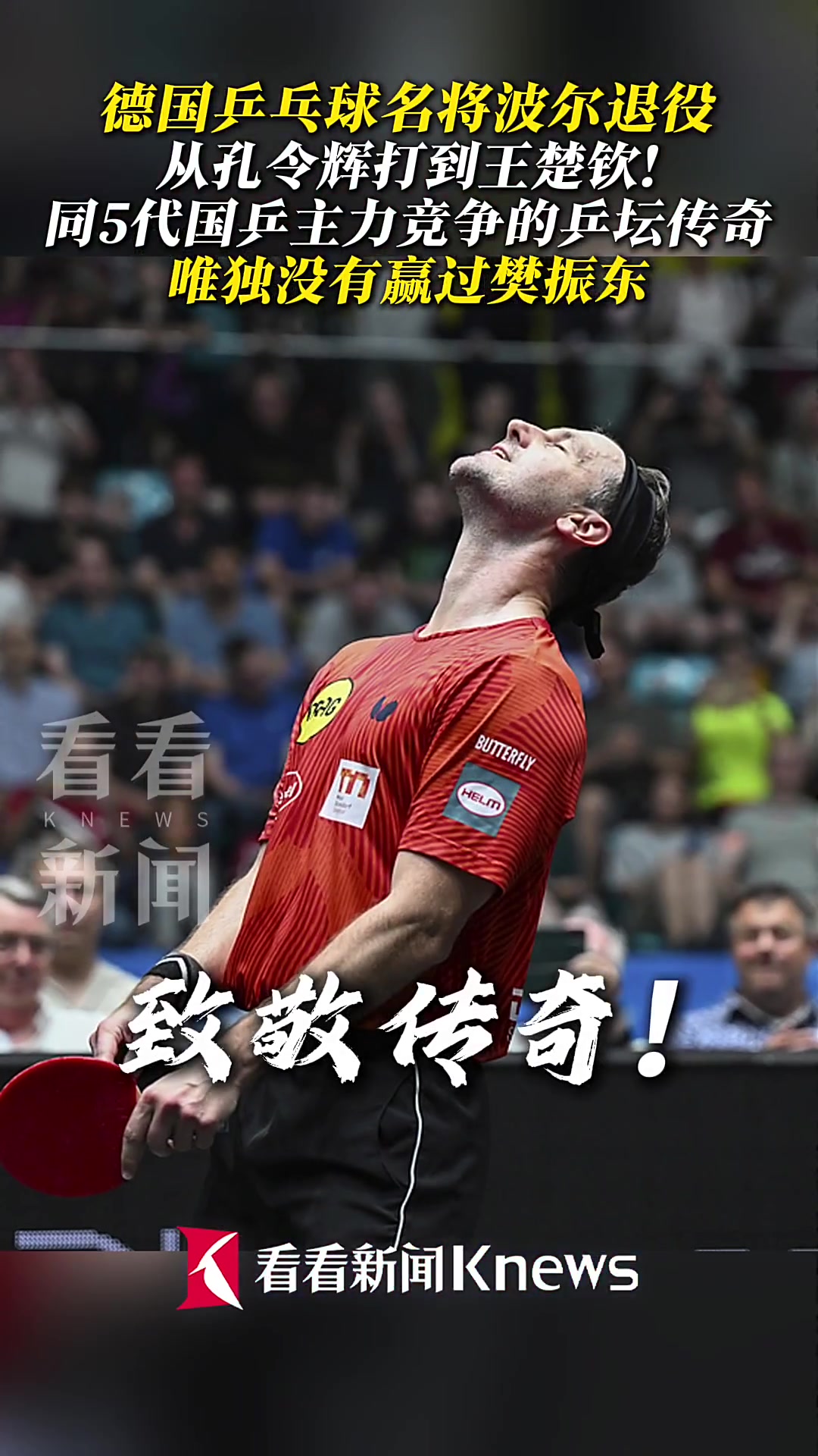 日本乒乓球队绝杀法国乒乓球队,波尔爆发神勇的简单介绍 日本乒乓球队绝杀法国乒乓球队,波尔爆发神勇的简单介绍