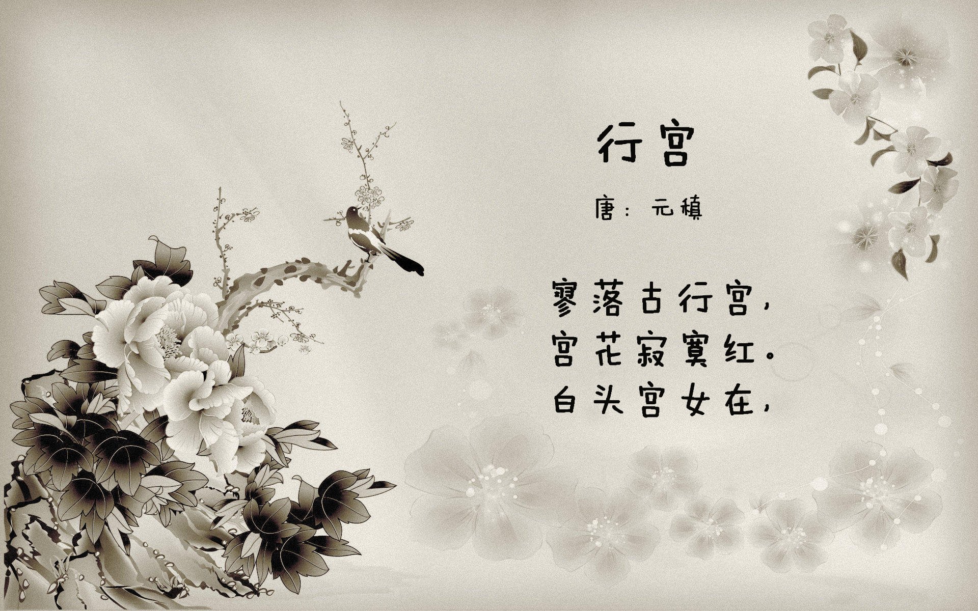 猛龙生死战取胜魔术，恩比德成为关键先生