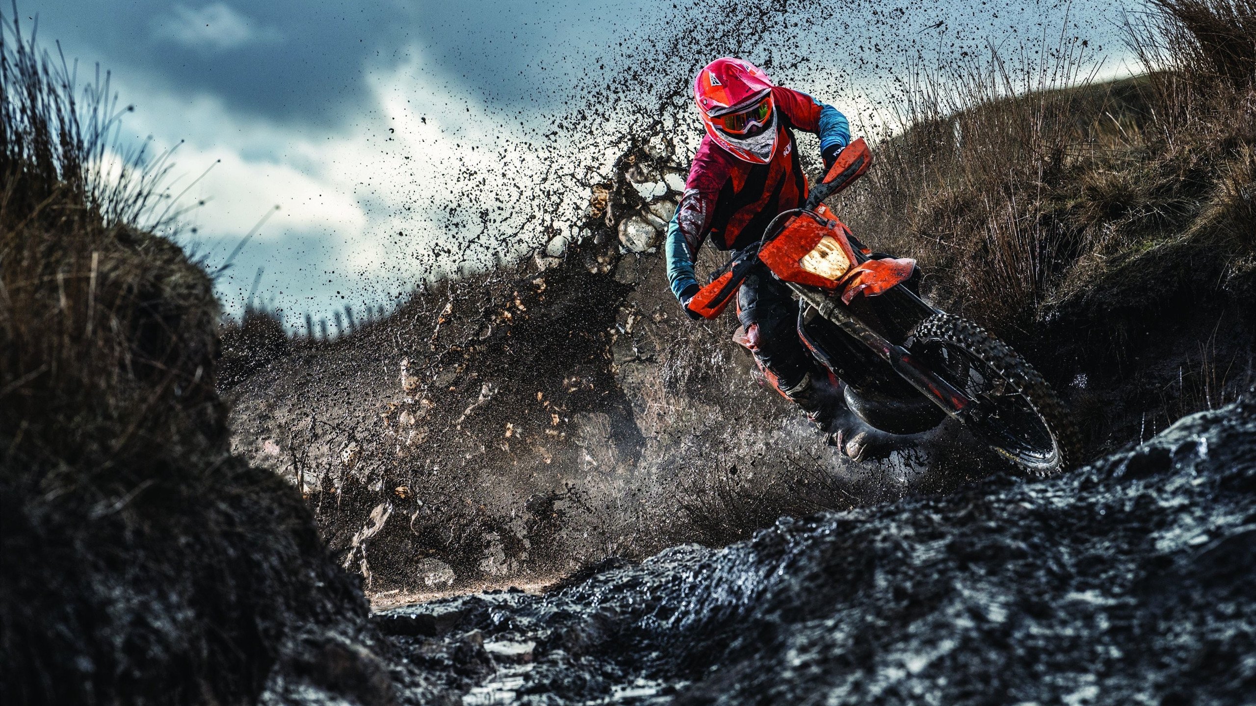 纽约的加冕之夜,尼克斯强势攻克萨城,总决赛舞台迎来新王气息