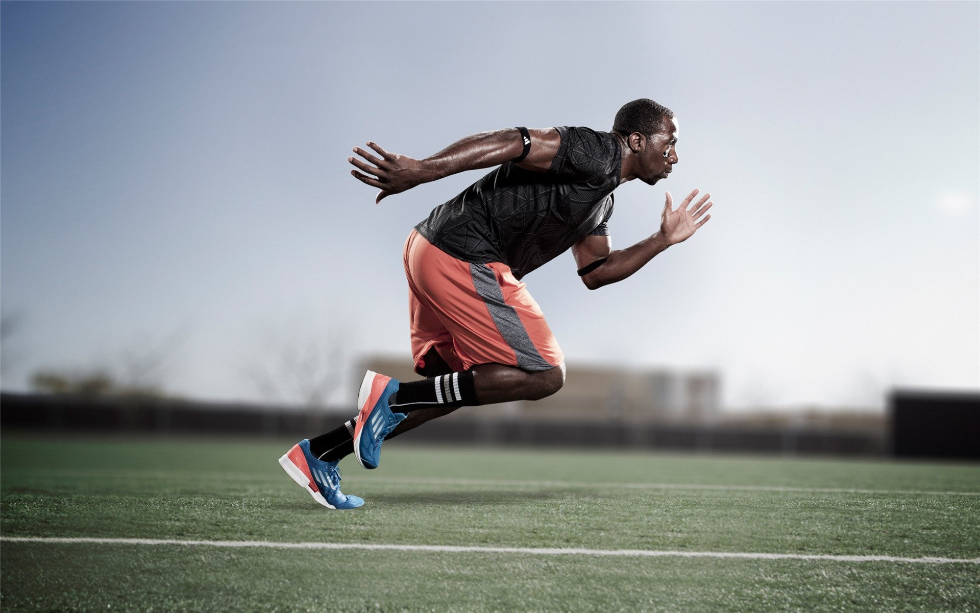 赛道上的权力更迭，塞恩斯统治全场，雷诺轻取法拉利